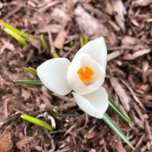 Meet your Posher, Inger